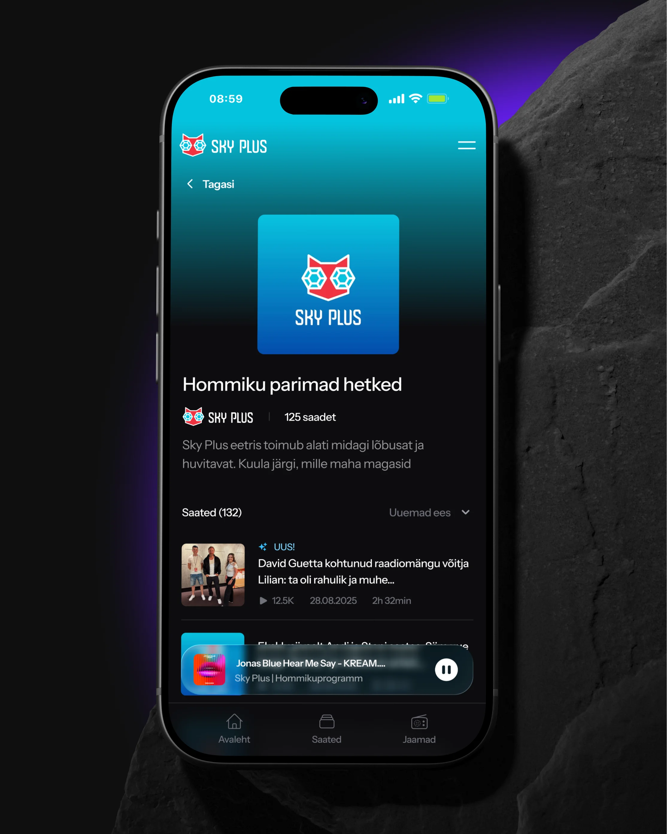 Sky Media — pilt 5